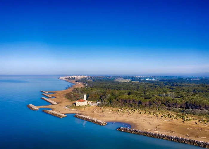 Bright Flat With Shared Pool *